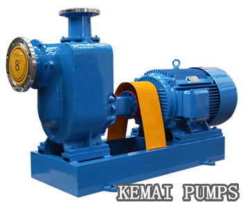 10 inch self priming sewage pump