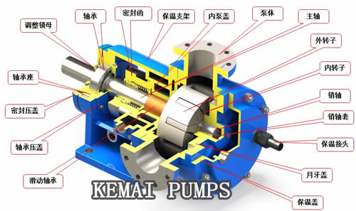Internal Gear Pump Structure