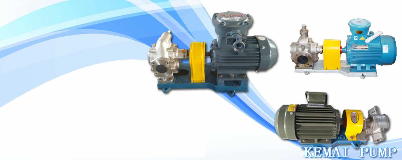 Stainless Steel Gear Pump